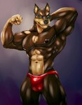 5_fingers abs anthro balls_outline barbell_piercing biceps big_bulge big_muscles brown_body brown_fur bulge chin_piercing clothed clothing detailed_bulge ear_piercing eyebrow_piercing facial_piercing fangs fingernails fingers fist fur genital_outline green_eyes male multiple_piercings muscular muscular_anthro muscular_male muscular_thighs nails navel nipple_barbell nipple_piercing nipples nose_piercing pecs piercing pose quads sheath_outline simple_background smile solo speedo swimwear tan_body tan_fur teeth thick_thighs underwear underwear_only whisker_spots bleakcat canid canine canis dobermann domestic_dog mammal pinscher