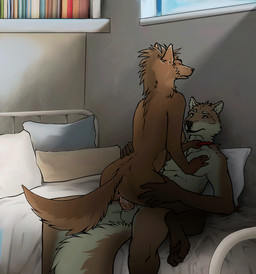 5_fingers anthro anthro_on_anthro anthro_penetrated anthro_penetrating anthro_penetrating_anthro anus balls bed bedroom biped bodily_fluids bookshelf bouncing_balls breasts brown_body brown_fur butt cheek_tuft collar collar_only cowgirl_position detailed_background duo erection eyebrows eyes_closed facial_tuft female female_on_top female_penetrated fingers fluffy fluffy_tail from_front_position fur furniture genital_fluids genitals hand_on_butt hand_on_chest hand_on_hip head_tuft humanoid_hands inside looking_at_another lying male male/female male_on_bottom male_penetrating male_penetrating_female mostly_nude nude on_back on_bed on_bottom on_top pawpads paws penetration penile penile_penetration penis penis_in_vagina pillow sex side_boob tail three-quarter_view tuft vaginal vaginal_fluids vaginal_penetration vulva white_body white_fur window sterr canid canine canis domestic_dog mammal 2019 2d_animation animated animated_gif digital_drawing_(artwork) digital_media_(artwork) frame_by_frame loop short_playtime