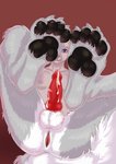 4_toes anatomically_correct anatomically_correct_genitalia anatomically_correct_penis animal_genitalia animal_penis anthro anus balls black_eyebrows black_pawpads bodily_fluids butt canine_genitalia canine_penis claws cum cum_drip cum_on_own_penis cum_on_penis cum_on_self dripping erection eyebrows feet fur genital_fluids genitals grey_body grey_fur hair intersex knot looking_at_viewer maleherm markings multicolored_body multicolored_fur nude nude_anthro nude_intersex nude_maleherm pawpads paws penis pink_nose purple_eyes pussy reclining red_background red_penis simple_background solo toes two_tone_body two_tone_fur white_body white_fur white_hair fapchop riley_(disjachi) arctic_fox canid canine fox mammal true_fox absurd_res colored digital_media_(artwork) hi_res shaded