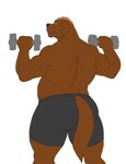 5_fingers anthro blue_eyes bottomwear brown_body brown_fur brown_hair butt canid canine canis clothing colored devin_d_parlett digital_media_(artwork) domestic_dog dumbbell exercise fingers fur grey_bottomwear grey_clothing grey_nose grey_shorts hair hi_res male mammal molosser mountain_dog musclegut muscular muscular_anthro muscular_arms muscular_male newfoundland_dog rear_view shorts shoulder_press simple_background solo thick_thighs vamplust weightlifting weights white_background workout