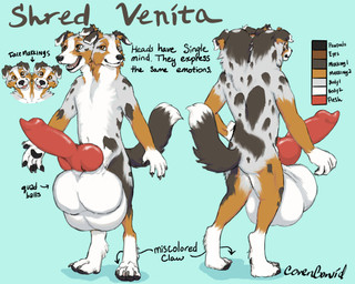 2_heads 4_balls animal_genitalia animal_penis anthro balls big_balls big_penis biped canine_genitalia canine_penis digitigrade erection genitals huge_balls huge_penis hyper hyper_balls hyper_genitalia hyper_penis knot male multi_balls multi_genitalia multi_head penis solo standing text covencorvid shred_venita canid canine canis domestic_dog mammal 5:4 absurd_res english_text hi_res