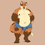 4_toes 5_fingers anthro areola biped black_nose blue_clothing blue_underwear boxers_(clothing) brown_body brown_fur bulge clothed clothing dipstick_tail feet fingers fur gloves_(marking) leg_markings male markings moobs navel nipples overweight overweight_anthro overweight_male simple_background socks_(marking) solo standing tail tail_markings thick_thighs toes underwear underwear_only minedoo ty_the_fox canid canine fox mammal 1:1 2020 absurd_res digital_drawing_(artwork) digital_media_(artwork) hi_res