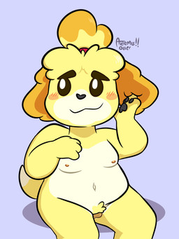 animal_genitalia animal_vulva anthro blonde_hair blush blush_lines blush_stickers breasts canine_genitalia canine_vulva female fluffy fluffy_ears fluffy_hair fur genitals hair hair_bun looking_aside nipples nude pubes sitting smile solo vulva white_body white_fur yellow_body yellow_fur artemis-otter animal_crossing nintendo isabelle_(animal_crossing) canid canine canis domestic_dog mammal shih_tzu toy_dog 2026 3:4 cel_shading digital_media_(artwork) shaded