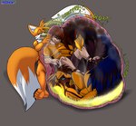 anthro belly big_belly bodily_fluids burping digestion digestion_noises fatal_vore feet fur group internal large_prey male male_pred male_prey oral_vore orange_body organs soles stomach stomach_acid vore yellow_body yellow_fur foxynoms sega sonic_the_hedgehog_(series) miles_prower avali avian bird canid canine fox human humanoid mammal hi_res