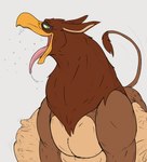 abdominal_bulge beak bodily_fluids burping feral feral_pred forced fully_inside group imprint looking_down male male_pred multiple_prey saliva tongue tongue_out unwilling_prey vore thatgryphonguy mythology avian gryphon mythological_avian mythological_creature wingless_gryphon hi_res