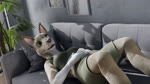 abdominal_bulge anthro belly belly_rub digestion female lying muffled_speech navel on_back open_mouth rumbling_stomach solo sound_effects teeth tongue vore yawn plesiodog blender_cycles riley_(plesiodog) canid canine canis domestic_dog husky mammal nordic_sled_dog spitz tamaskan_dog 16:9 3d_(artwork) 3d_animation animated blender_(artwork) digital_media_(artwork) hi_res loop short_playtime sound webm widescreen