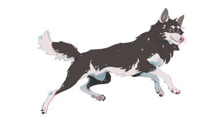 ambiguous_gender black_body black_fur blue_eyes cheek_tuft chest_tuft closed_smile facial_tuft feral fluffy fluffy_tail fur glistening glistening_eyes leg_tuft looking_at_viewer mouth_closed multicolored_body multicolored_fur neck_tuft pink_nose side_view simple_background smile solo tail tuft two_tone_body two_tone_fur unsigned white_background white_body white_fur justkiddinb canid canine canis domestic_dog mammal full-length_portrait hi_res portrait