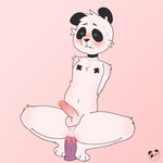 >_< anal anal_masturbation anal_penetration anthro anus balls blush bodily_fluids body_blush choker dildo dildo_in_ass dildo_insertion dildo_sitting erection eyes_closed fur genital_fluids genitals hands_behind_back humanoid_genitalia humanoid_penis jewelry lube male masturbation necklace object_in_ass paws penetration penis perineum precum sex_toy sex_toy_in_ass sex_toy_insertion solo struggling_to_fit sweat toying_self white_body white_fur x_nipples elponda bear giant_panda mammal 1:1 hi_res