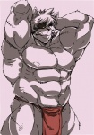 abs anthro athletic biceps big_muscles biped bottomwear bulge clothed clothing eye_patch eyewear flexing fur grey_body grey_fur hair hands_behind_head licking loincloth looking_at_viewer male markings muscular muscular_anthro muscular_male nipples pecs pink_background pose scar simple_background solo standing stripes tongue tongue_out topless underwear dandoo drakuun dard felid mammal pantherine tiger