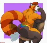 2022 absurd_res ailurid anthro back_muscles barazoku biceps big_butt big_muscles border butt chair claws clothing eyebrows fur furniture hair hi_res huge_butt huge_muscles lgbt_pride lgbt_pride_month looking_at_viewer male mammal multicolored_clothing multicolored_thong multicolored_underwear muscular muscular_anthro muscular_male pattern_clothing pride_color_clothing pride_color_thong pride_color_underwear pride_colors purple_background rainbow_pride_colors red_panda simple_background sitting six-stripe_rainbow_pride_colors smile solo striped_clothing stripes super_gay teeth thick_thighs thong tuft tylerstark underwear white_border