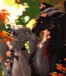 autumn autumn_leaves duo feathers female feral folded_wings forest forest_background fur horn male markings nature nature_background plant romantic size_difference striped_markings stripes tree wings mekk legend_of_ahya mythology llydia_the_fluff_dragon_(darkflamewolf) dragon feathered_dragon feathered_scalie furred_dragon furred_scalie mythological_creature mythological_scalie scalie hi_res