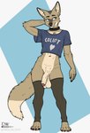 anthro balls clothed clothing collar crossdressing femboy fur genitals humanoid_genitalia humanoid_penis legwear male penis shirt simple_background smile solo tail thigh_highs topwear delta_dewitt beastars durham_(beastars) canid canine canis coyote mammal digital_media_(artwork) hi_res