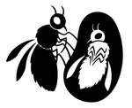 ambiguous_gender antennae_(anatomy) arthropod_abdomen duo feral fluffy fuzzy insect_wings invertebrate_proboscis proboscis_(anatomy) silhouette simple_background white_background wings sunnyclockwork scp_foundation scp-2616-a scp-2616-b anastoechus_nitidulus arthropod bee_fly fly_(animal) insect 2016 black_and_white digital_drawing_(artwork) digital_media_(artwork) hi_res monochrome female_(lore)