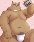 anthro asian_clothing belly brown_body brown_fur bulge candy chocolate clothing dessert east_asian_clothing eyes_closed food fundoshi fur humanoid_hands japanese_clothing kemono male moobs navel nipples overweight overweight_anthro overweight_male sitting solo underwear shiike999 fundoshi's_day canid canine mammal 2020 hi_res