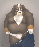 anthro belly blush briefs bulge clothing humanoid_hands male moobs navel nipples overweight overweight_anthro overweight_male simple_background solo tighty_whities underwear undressing white_briefs white_clothing white_underwear shinoda_hamazaki canid canine canis domestic_dog mammal 2019 hi_res