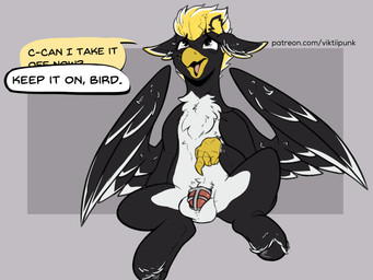 animal_genitalia animal_penis anthro back_wings balls beak bodily_fluids chastity_cage chastity_device chest_tuft dialogue dialogue_box equine_genitalia equine_penis feet fetlocks genitals gesture hair hand_gesture hooves implied_cuckold looking_at_another looking_up looking_up_at_another nervous nervous_look nervous_smile nervous_sweat open_beak open_mouth open_smile penis pointing pointing_at_penis pointing_down smile speech_bubble spread_legs spread_wings spreading sweat talons text toes tuft unsupported_chastity_cage wings viktiipunk european_mythology greek_mythology mythology ping_wing avian equid equine hippogriff mammal mythological_avian mythological_creature 4:3 hi_res url