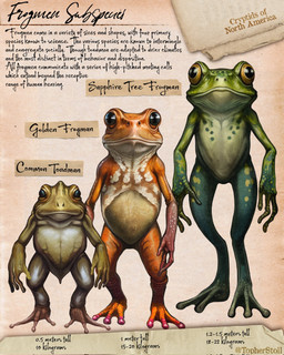 3_fingers 3_toes 4_fingers ambiguous_gender anthro biped feet fingers front_view green_body lineup looking_at_viewer mouth_closed nude nude_anthro orange_body paper_background plantigrade pupils simple_background solo tan_background text toes twitter_handle christopher_stoll amphibian frog 2022 artist_name digital_drawing_(artwork) digital_media_(artwork) english_text full-length_portrait hi_res portrait species_name