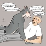 anthro anthro_on_anthro belt blush bottomwear claws clothed clothing dialogue duo eyebrows flustered fur grey_background looking_away lying male male/male muscular muscular_anthro muscular_male on_back on_front pants romantic shirt simple_background smile text topless topless_anthro topless_male topwear tuft casssenpaii beastars jack_(beastars) legoshi_(beastars) bird_dog canid canine canis domestic_dog hunting_dog labrador mammal retriever wolf 2024 english_text hi_res