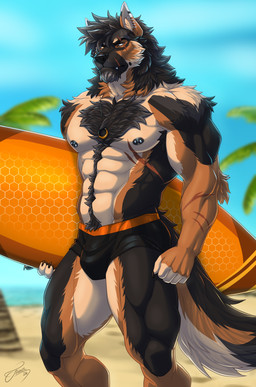 5_fingers abs anthro areola arm_tuft barbell_piercing beard biceps biped body_hair brown_body brown_fur brown_hair bulge chest_hair chest_tuft claws clothed clothed_anthro clothed_male clothing deltoids ear_piercing elbow_tuft eye_scar facial_hair facial_scar facial_tuft fingers forearm_muscles fur hair happy_trail humanoid_hands male male_anthro multicolored_body multicolored_fur muscular muscular_anthro muscular_male nipple_barbell nipple_piercing nipples obliques pecs piercing pube_peek pubes quads scar shoulder_tuft solo speedo standing surfboard swimwear topless topless_anthro topless_male triceps tuft v-cut feralise zayne_kingsley canid canine canis domestic_dog german_shepherd herding_dog mammal pastoral_dog 2026 hi_res