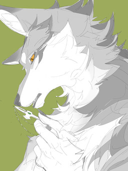 5_fingers ambiguous_gender anthro claws countershade_face countershade_fur countershade_torso countershading cross cross_necklace dark_body dark_fur finger_claws fingers fur green_background holding_cross holding_object jewelry light_body light_fur looking_at_object necklace nude nude_anthro open_mouth orange_eyes simple_background solo teeth chiayeeee ankh_(minelodywolf) canid canine canis mammal wolf 2023 absurd_res bust_portrait digital_drawing_(artwork) digital_media_(artwork) hi_res portrait male_(lore)