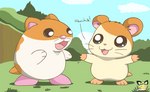 dialogue duo feral fur grass male orange_body orange_fur plant whiskers white_body white_fur pichu90 hamtaro_(series) kirby_(series) nintendo hamtaro rick_(kirby) cricetid hamster mammal rodent 2021 signature