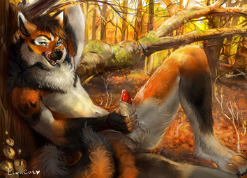 5_fingers animal_genitalia anthro balls black_body black_fur black_hair black_nose blue_eyes bodily_fluids chest_tuft day detailed_background dripping erection eyebrows eyelashes feet fingers forest fur genital_fluids genitals grass hair half-erect hand_behind_head licking licking_lips licking_own_lips looking_at_viewer male masturbation nature nude open_mouth orange_body orange_fur outdoor_nudity outside penis plant precum precum_drip red_penis self_lick sheath sheath_play sitting solo teeth toes tongue tongue_out tree tuft white_body white_fur eleacat caiuslupus canid canine mammal 2021 digital_media_(artwork) nonbinary_(lore)