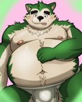 anthro belly big_belly black_nose blush bulge clothing green_body kemono male moobs navel nipples overweight overweight_male solo underwear yom_mido_plus lifewonders live_a_hero mokdai canid canine canis domestic_dog mammal 2025 hi_res