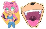 accessory anthro clothing countershade_face countershade_torso countershading female fingerless_gloves fur gaping_mouth gloves green_eyes hair_accessory hairband handwear midriff mouth_shot open_mouth pink_body pink_fur solo uvula lecigzz sega sonic_the_hedgehog_(series) amy_rose eulipotyphlan hedgehog mammal 2023