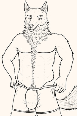 anthro boxer_briefs bulge clothed clothing dressing fur fuzzy male solo tired underwear underwear_only maximuswolf mythology maximus_(maximuswolf) canid canine mammal mythological_canine mythological_creature werecanid werecanine werecreature werewolf 2:3 absurd_res hi_res line_art