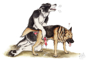 anal anal_penetration animal_genitalia animal_penis anthro anthro_on_feral anthro_penetrating anthro_penetrating_feral bestiality black_body black_fur blue_eyes canine_genitalia canine_penis duo erection feral feral_penetrated from_behind_position fur genitals kneeling knot knotted_penis logo male male/male male_on_feral male_penetrated male_penetrating male_penetrating_male nude open_mouth orange_eyes penetration penile penile_penetration penis penis_in_ass pink_tongue red_penis sex side_view tan_body tan_fur tongue tongue_out white_body white_fur kola_(artist) border_collie canid canine canis collie domestic_dog german_shepherd herding_dog mammal pastoral_dog sheepdog 2017 artist_logo dated signature