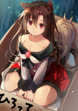 blush bodily_fluids box breasts brown_hair cardboard cardboard_box cleavage clothed clothing container dress female hair high-angle_view kneeling looking_at_viewer red_eyes solo sweat sweatdrop efe touhou kagerou_imaizumi animal_humanoid canid canid_humanoid humanoid mammal mammal_humanoid 2015
