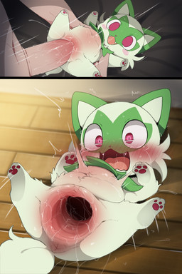 anus belly_tuft bestiality blush blush_lines bodily_fluids body_blush butt cheek_tuft contour_smear cute_fangs digitigrade doll facial_markings facial_tuft fangs female female_feral female_on_human female_penetrated feral feral_penetrated fleshlight_position floor forced fur gaping gaping_vagina genital_fluids genitals glistening green_body green_fur head_markings human_on_feral human_penetrating human_penetrating_female human_penetrating_feral humanoid_genitalia hyper_gape interspecies looking_back looking_pleasured lying male male/female male_on_feral male_penetrating male_penetrating_female male_penetrating_feral markings mask_(marking) motion_lines navel_tuft on_back open_mouth pawpads paws penetration penile penile_penetration penis_in_vagina plushie plushophilia pupils quadruped rape red_eyes sex small_pupils spread_legs spreading sweat tail tears tears_of_pleasure teeth tongue tremble_spikes tuft urethra vaginal vaginal_fluids vaginal_penetration voodoo voodoo_doll voodoo_sex vulva vulva_blush dagasi nintendo pokemon generation_9_pokemon human mammal pokemon_(species) sprigatito 2026 2:3 hi_res