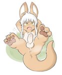 anus balls blush brown_body butt feet foreskin genitals humanoid_genitalia humanoid_penis looking_at_viewer male open_mouth pawpads paws penis simple_background solo tail tail_anus white_background yellow_body yellow_eyes young oob made_in_abyss nanachi narehate hi_res