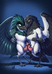 anthro beak claws duo erection frottage genitals looking_at_viewer male male/male open_mouth open_smile penile penis sex smile standing tapering_penis wings jackrow mcfan jackrow_(character) pluvian avian bird hi_res