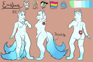 anthro areola backsack balls black_text blue_areola blue_body blue_fur blue_nipples bone brown_background color_swatch exposed_bone exposed_flesh fur genitals green_eyes gynomorph humanoid_genitalia humanoid_penis intersex jewelry lgbt_pride missing_arm missing_tail multi_tail multicolored_body multicolored_fur necklace nipples pansexual_pride_colors pawpads penis pride_colors side_view simple_background solo tail text white_body white_fur unknown_artist tundra_(eiraryyu) canid canine canis dire_wolf mammal prehistoric_species wolf character_name digital_drawing_(artwork) digital_media_(artwork) english_text flat_colors model_sheet