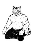 anthro bottomwear chest_tuft clothing kneeling looking_at_viewer male markings musclegut muscular muscular_anthro muscular_male navel pants pecs shirtless slightly_chubby slightly_chubby_anthro slightly_chubby_male solo striped_markings stripes tail tuft nukeyfox epic_games fortnite oscar_(fortnite) felid mammal pantherine tiger 2024 hi_res monochrome