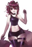 2024 anthro biped bitterk4t clothed clothing digital_drawing_(artwork) digital_media_(artwork) domestic_cat felid feline felis female fully_clothed fur hair hi_res hybrid kemono legwear looking_at_viewer mammal midriff navel nicky_(bitterk4t) open_mouth open_smile portrait procyonid raccoon simple_background smile solo standing thigh_highs three-quarter_portrait white_background