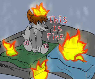 brown_hair burning fire fire_on_body fur furniture grey_body grey_fur hair male on_sofa pawpads pink_pawpads sitting sitting_on_sofa sofa solo text 2001maxx conditional_dnp this_is_fine maxx_(2001maxx) canid canine canis domestic_dog husky mammal nordic_sled_dog spitz english_text meme