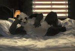 anthro bed bedroom black_body black_fur black_nose detailed_background eyewear fur furniture glasses humanoid_hands inside kemono male overweight overweight_anthro overweight_male solo white_body white_fur racoonwolf bear giant_panda mammal 2021