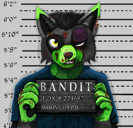 anthro black_body black_fur black_hair blood blood_on_face blood_on_hand bodily_fluids bruised bruised_eye chart clothed clothing dipstick_ears ear_markings fight front_view fur gloves_(marking) green_body green_fur hair hashtag height_chart holding_object holding_sign imperial_unit jail_placard looking_at_viewer male markings mugshot multicolored_ears nosebleed notched_ear number placard prison shirt short_hair sign solo t-shirt text topwear unit wounded yellow_eyes craftyandy bandit_(bandit-fur) canid canine fox mammal character_name english_text