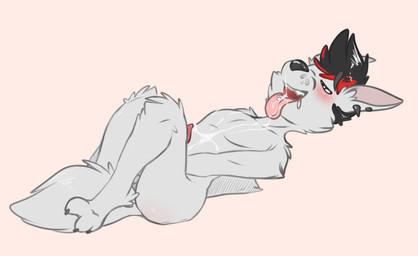 animal_genitalia anthro biped black_nose blush bodily_fluids claws cum cum_in_mouth cum_in_own_mouth cum_in_self cum_inside cum_on_belly cum_on_body cum_on_chest cum_on_face cum_on_own_face cum_on_self ear_piercing erection eyes_closed fur genital_fluids genitals hair lying male nude open_mouth penis piercing simple_background smile solo teeth tongue tongue_out tongue_piercing white_body white_fur backsash sash_(backsash) canid canine canis mammal wolf 2015 digital_media_(artwork) hi_res