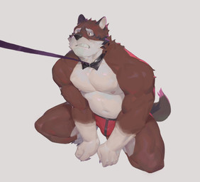 anthro bulge clenched_teeth clothed clothing collar fur kneeling leash leash_pull leashed_collar looking_up male muscular muscular_anthro muscular_male nipples red_body red_fur shirt_collar simple_background solo teeth underwear underwear_only stoatallynate echo_(game) echo_(series) echo_project leo_alvarez canid canine canis mammal wolf hi_res