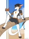 anthro beach bendy_straw clothed clothing coconut drinking_straw drupe_(fruit) food fruit gills looking_at_viewer male membrane_(anatomy) palm_tree plant relaxing seaside solo swimming_trunks swimwear tree webbed_hands sharkcatsg rick_marks canid canine fish fox hybrid mammal marine shark hi_res