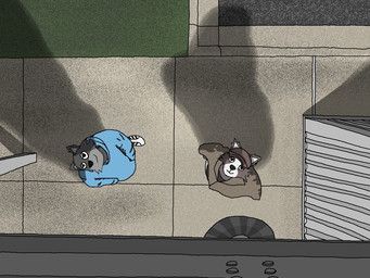 ambiguous_gender anthro biped clothed clothed_anthro clothing duo footwear fur grey_body grey_clothing grey_fur grey_topwear high-angle_view hoodie looking_up shoes smile standing topwear white_sclera runchkin canid canine canis domestic_cat felid feline felis mammal wolf 2025 4:3