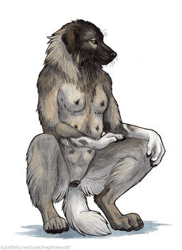 anatomically_correct anatomically_correct_genitalia anatomically_correct_vulva animal_genitalia animal_vulva anthro black_nipples black_vulva breasts canine_genitalia canine_vulva female fur genitals grey_body grey_fur multi_breast multi_nipple nipples nude solo unsigned vulva whiskers heatherwolf canid canine canis domestic_dog mammal colored_pencil_(artwork) traditional_media_(artwork)