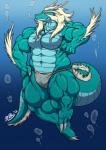 2012 animal_genitalia anthro asian_clothing asian_mythology bubble claws clothed clothing dragon east_asian_clothing east_asian_mythology eastern_dragon fundoshi fur genital_slit genitals hi_res horn japanese_clothing kemono kyuuhari male muscular muscular_anthro muscular_male mythological_creature mythological_scalie mythology scalie smile solo tail topless translucent translucent_clothing underwater underwear water