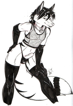 anthro armwear clothing collar elbow_gloves erection fishnet_clothing fishnet_topwear genitals gloves handwear humanoid_genitalia humanoid_penis looking_at_viewer male penis simple_background solo tail topwear white_background year blackfrost aiwait_(aiwait) canid canine fox mammal 2008 black_and_white marker_(artwork) monochrome signature traditional_media_(artwork)
