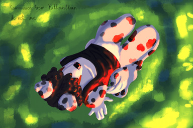 anthro clothing curly_hair full_render green_background hair light male meadow mottled piebald shirt simple_background sitting solo sunlight sunny sunset tank_top topwear killianllian canid canine mammal 3:2 full-length_portrait portrait