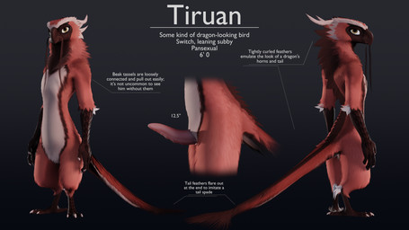 animal_genitalia animal_penis anthro avian_feet beak erection feathers featureless_crotch feet fingers genitals horn long_torso looking_at_viewer looking_back male nude penis rear_view simple_background solo standing stated_height stated_pansexuality stated_penis_size stated_sexuality stated_species tail tail_feathers text ruaidri mythology tiruan_(ruaidri) avian bird dragon hybrid mythological_creature mythological_scalie scalie 16:9 2024 3d_(artwork) character_name digital_media_(artwork) english_text hi_res model_sheet translated widescreen
