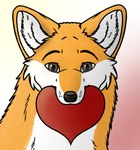 feral fur heart_symbol holidays looking_at_viewer love male simple_background smile solo sharicgshep valentine's_day canid canine fox mammal hi_res